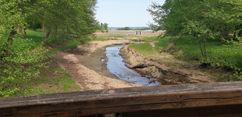 20250502_142647.jpg