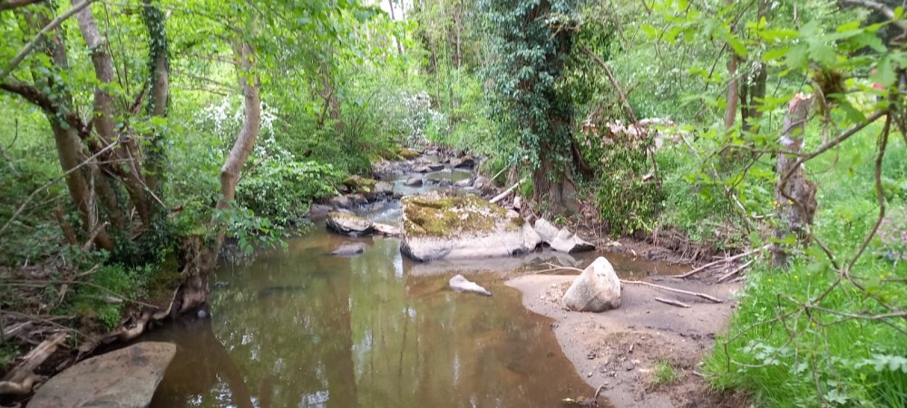 IMG-20250505-WA0000.jpg