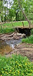 IMG-20250505-WA0001.jpg