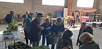 20250510_093447.jpg