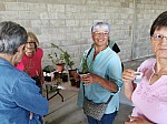 IMG_20250510_113002.jpg
