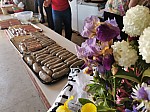 IMG_20250510_115637.jpg