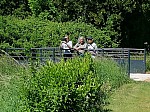 IMG_20250516_151442.jpg