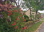 IMG_20250605_095956.jpg