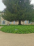 IMG_20250605_100346.jpg