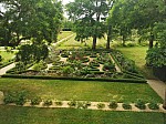 IMG_20250605_112947.jpg