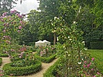 IMG_20250605_113737.jpg