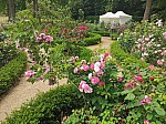 IMG_20250605_113746.jpg