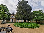 IMG_20250605_114512.jpg
