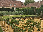 IMG_20250605_140454.jpg