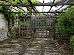 IMG_20250605_140716.jpg