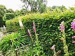 IMG_20250605_140809.jpg