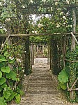 IMG_20250605_140956.jpg