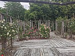 IMG_20250605_141015.jpg
