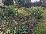 IMG_20250605_141158.jpg