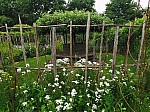 IMG_20250605_141520.jpg
