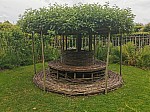 IMG_20250605_141917.jpg