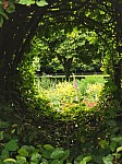 IMG_20250605_143002.jpg
