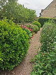 IMG_20250605_144551.jpg