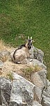 20250606_102336.jpg