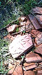 IMG-20250616-WA0010.jpg