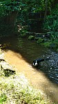 IMG-20250616-WA0013.jpg