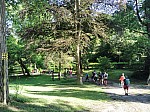 OpenRunner_1750058056.jpg