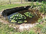 IMG-20250623-WA0000.jpg