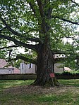 image0000031.JPG