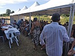 IMG_20250704_181150.jpg