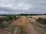IMG_20250707_091824.jpg