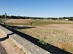 IMG_20250711_085458.jpg