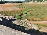 IMG_20250711_085755.jpg