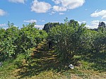 IMG_20250717_103951.jpg