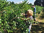 IMG_20250717_104158.jpg