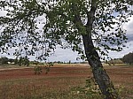 IMG_20250912_141029.jpg