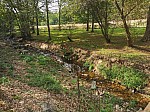 IMG_20250912_142559.jpg