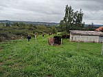 OpenRunner_1757943402.jpg