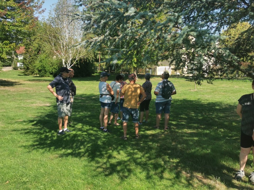 IMG_20250919_151737.jpg