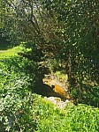 IMG_20250919_140958.jpg