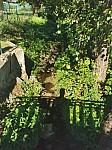 IMG_20250919_152540.jpg