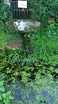 IMG-20250929-WA0014.jpg