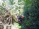IMG_20250929_150951.jpg