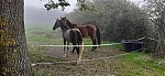 20250929_112136.jpg