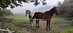 20250929_112151.jpg