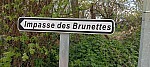 IMG-20260413-WA0008.jpg