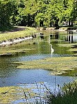 20260424_135113.jpg