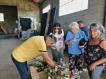 IMG_20260509_111337_1.jpg