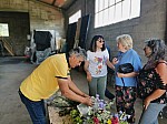 IMG_20260509_111339.jpg