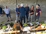 IMG_4587.jpg